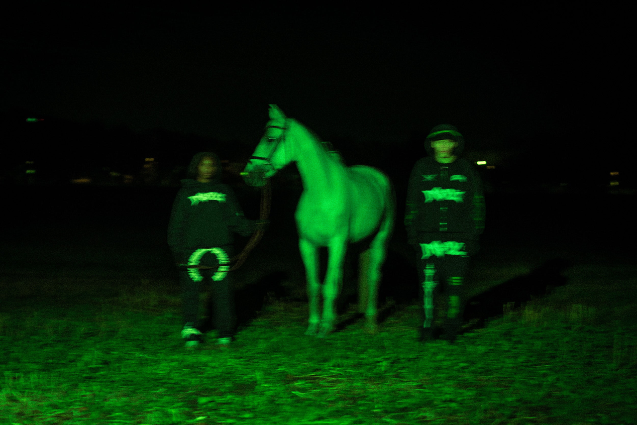 No Weapon Collection